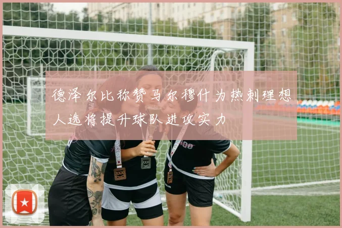 德泽尔比称赞马尔穆什为热刺理想人选将提升球队进攻实力